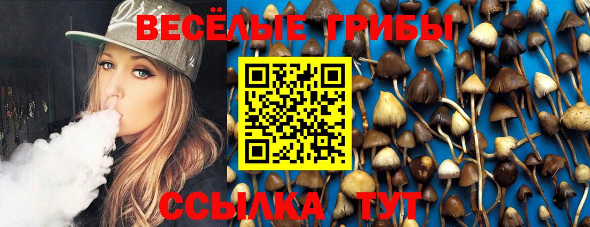 Галлюциногенные грибы мухоморы  Галлюциногенные грибы мухоморы  Вход с VPN  Красноуфимск 