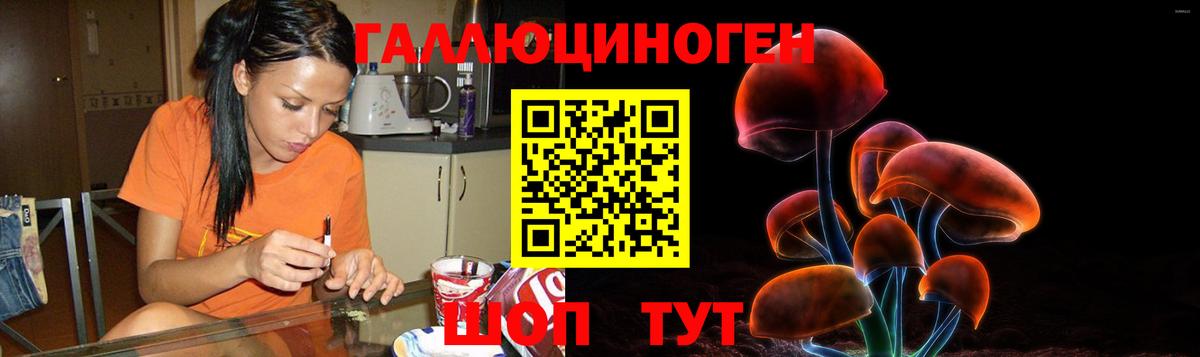 Галлюциногенные грибы Cubensis Красноуфимск